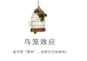鸟笼效应？或许吧…但梗像是某种诅咒