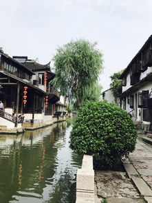 北面老街：古典与现代化并存