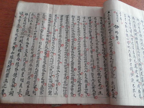 如何解读八字中的日干？