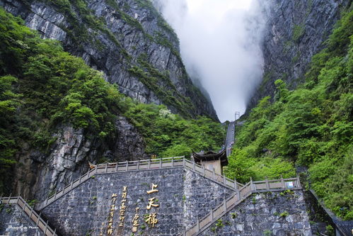 张家界旅游的最佳月份是哪个月份最为适宜呢嗯？这真是一个让人头疼又让人兴奋的问题啊！