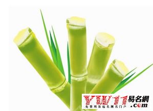 不同人群の魔幻解析