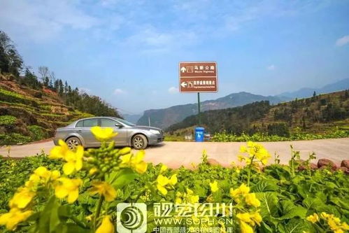 冬日春城昆明：红嘴鸥与过桥米线的诱惑