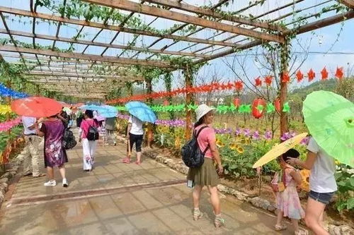 春意盎然花溪谷的秘密花园