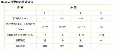 八字合婚的分数达到多少才算最佳？女八字看合婚准吗？