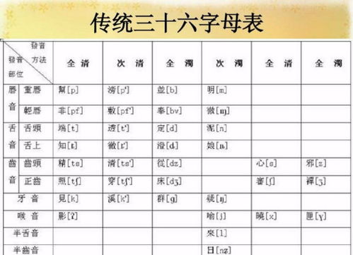 给你整理了个表格！迅速来看看哪个最吸引你！