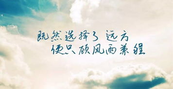 星座与命运的交叉点
