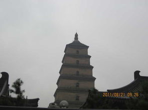 第四天：城墙漫步与满载而归