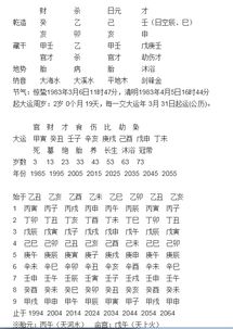 八字合婚女命能成功吗？最新八字合婚实例视频分析揭秘