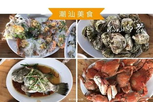 3. 南澳牡蛎—海味喷泉
