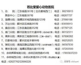 皇女六命与五命培养价值差异大吗，是否值得投入精力培养？