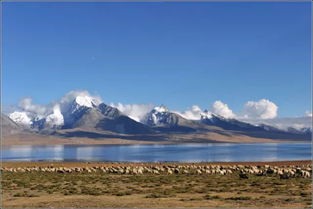 较高山湖泊：心灵的清泉
