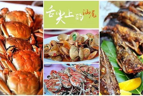 夏日炎炎，为何我要去舟山受罪？哦不是享受！