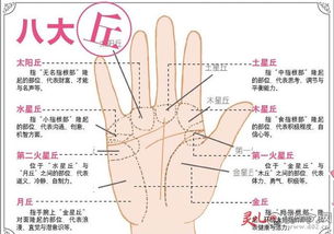 手相八字算命，当董事长的女人命运好不好？