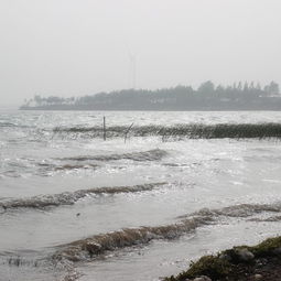 美食探险：舌尖上的绝望