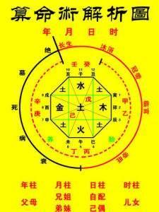 辛酉日柱与癸巳时柱相配的男性命运，蕴含着怎样的神秘命运玄机？
