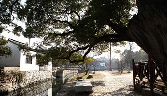 深入古村，探寻历史的痕迹