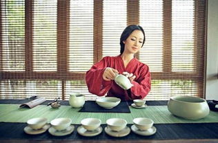 春日序曲：一场惯与0836的迷幻梦境