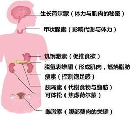 啊！风水这玩意儿到底靠谱不靠谱？