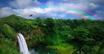 第三站：彩虹瀑布（Rainbow Falls）