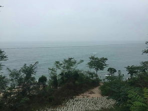 情人坝：浪漫+尴尬+自拍杆失控