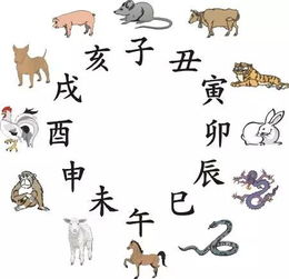 2026年正月吉日里，哪些属相的生肖可以参加吉日活动呢？