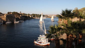 尼罗河漂流——如何不被鳄鱼抢走午餐