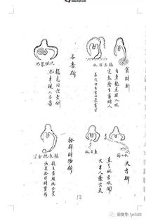 什么是戊辰日柱的精髓断法？