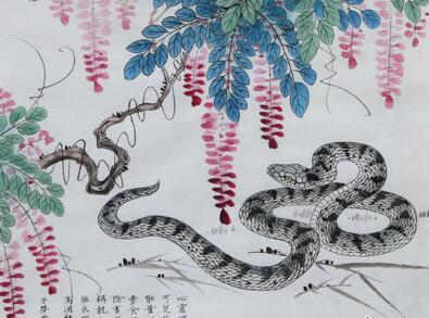 生肖蛇：神秘智者， 理性看透本质，用冷漠深情