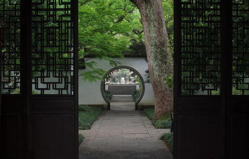 院子门前照碑风水,院子里的照碑