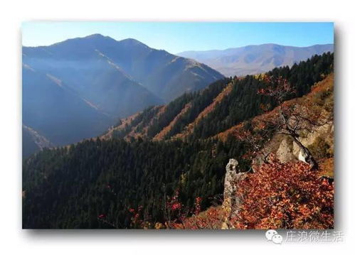 三、旅行线路：更多沉重选择交织而成的较大网格
