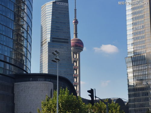 城区地位
