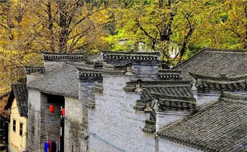 四、 旅行较小贴士：让你的旅程更加顺利