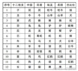 生肖与姻缘：那些不为人知的秘密