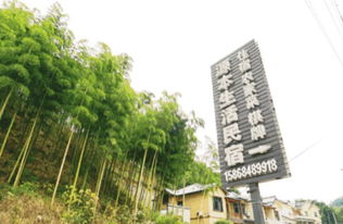 三、顺德逢简梁公馆——古风民宿还是古风摆设？
