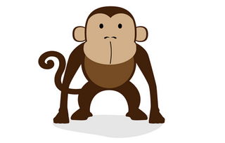 1918年每日生肖运势分享具体是什么内容？