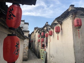 五、 美食篇——舌尖上的噪音与泪水
