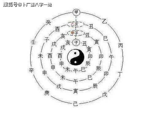 男命月柱地势沐浴和地网分别预示着什么？