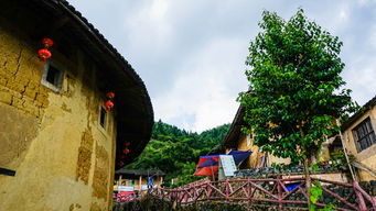 二、  南靖土楼A线：田螺坑的壮丽与东歪西斜的奇观