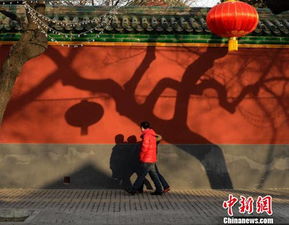 千年南京初七习俗，浪漫祈愿爆款来袭！