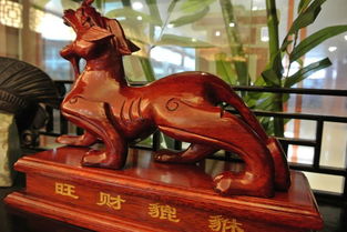 哪种吉祥物最适合旺财镇宅呢？
