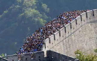 先别急着骂我懒——谁能想到北京地铁早高峰比菜市场抢白菜还疯？
