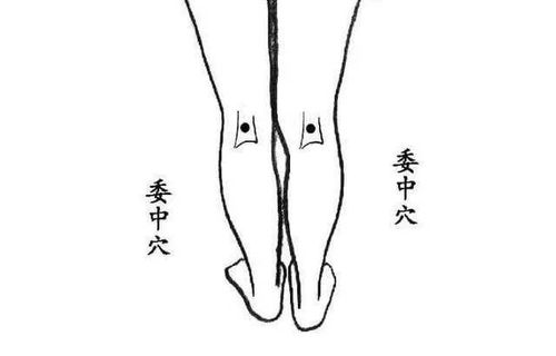 人体“排湿通道”：那些被遗忘的穴位