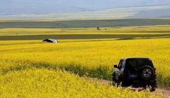 数字陷阱里的挣扎：当267.3公里遇上东北人的“时间相对论”