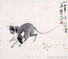2023年耗子们的过山车运势