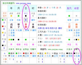 五行属性的作用于