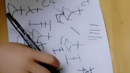 * 笔画数怎样作用于？——12划不是偶然！*