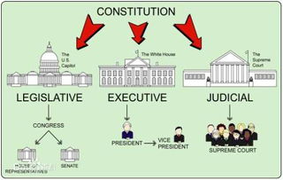 从生肖看政治领域体制：总统制、 议会制、共和制、内阁制、代议制的玄机