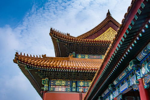 一、随意开场：故宫到底是啥玩意儿？