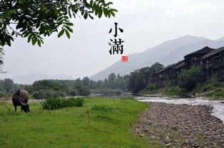 小满节气名称的来历是什么意思？