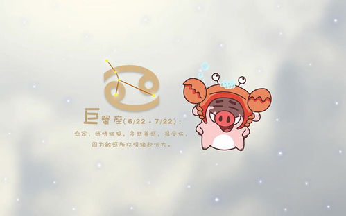 射手座和处女座哪个星座梗注重细节？